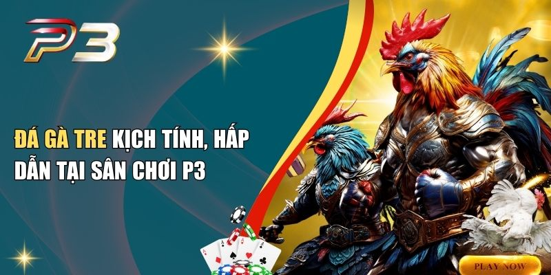 Đá Gà Tre Kịch Tính, Hấp Dẫn Tại Sân Chơi P3