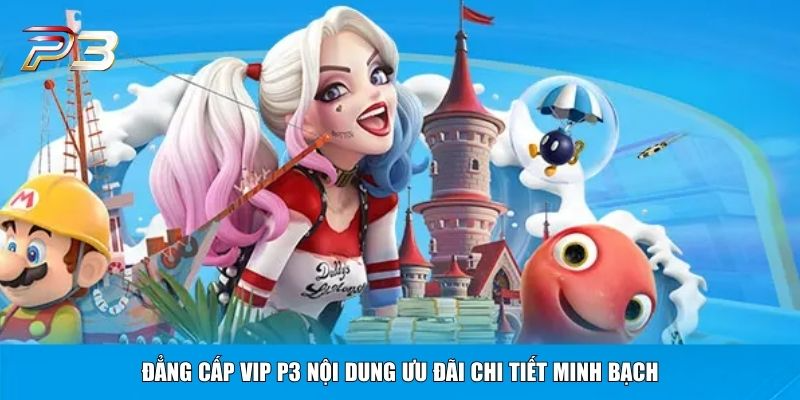 Đẳng cấp VIP P3 nội dung ưu đãi chi tiết minh bạch