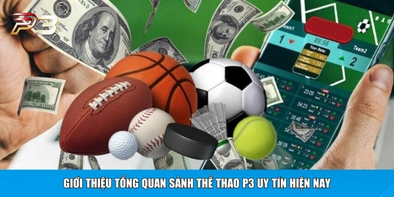 Giới thiệu tổng quan sảnh thể thao P3 uy tín hiện nay