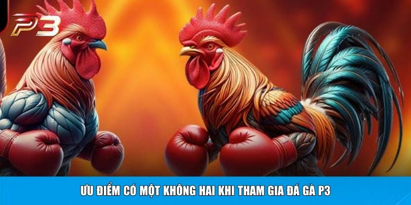 Ưu điểm có một không hai khi tham gia đá gà P3